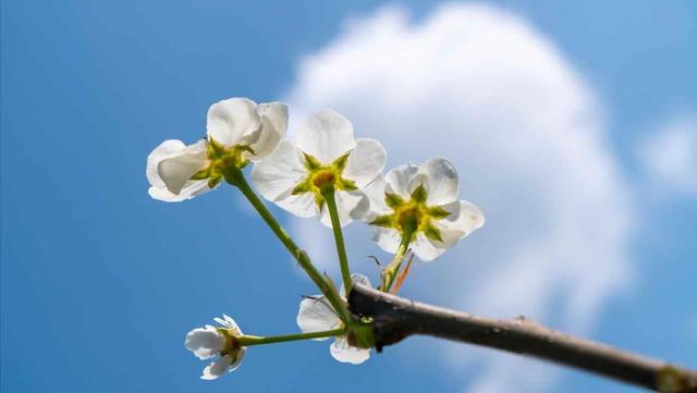 老伴退休选择离婚，隔天跟外面女人领证，5年后卧床身边空无一人