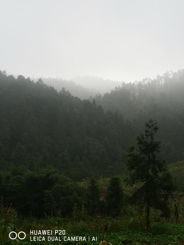 酷暑中探秘雪峰山巅峰的奥妙