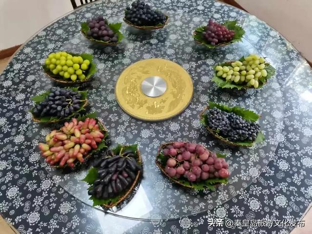 邂逅秦皇岛百年葡萄树，逛酒庄、品红酒、宿葡园，开启“藤”下慢时光！