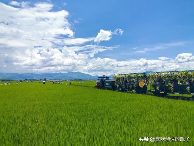 喜洲，藏在稻田里的浪漫