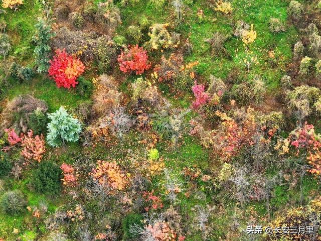 文景公园与文景山公园