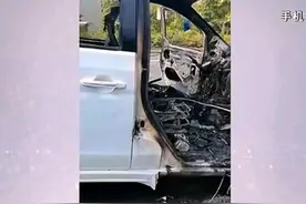 女子喜提新车三个小时便发生自燃 厂家承认质量问题 网友却站厂家图片