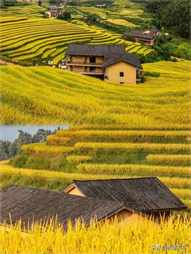 江西的秋，慢慢把山河写成诗