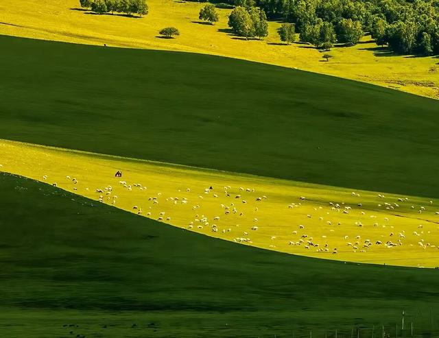燕南赵北‖光影草原