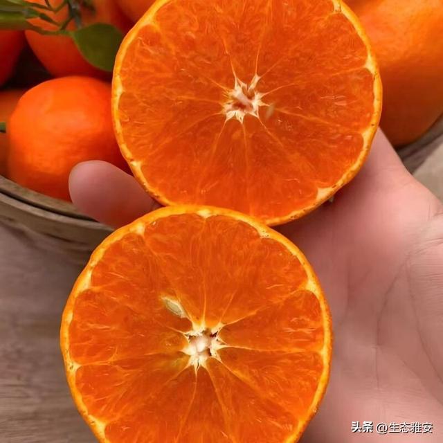 “雅味”马上到成都！2026雅货进蓉展销活动来啦，享7折惠购！