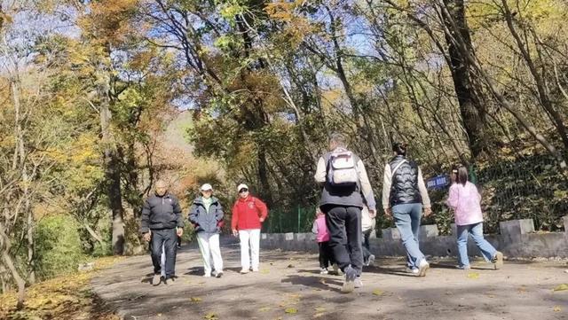 11月开门红！翼龙文旅各景区游人如炽，山水红韵承包秋日欢乐