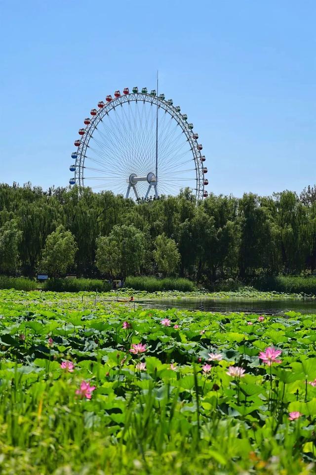 强推！北京夏夜快乐清单已加载