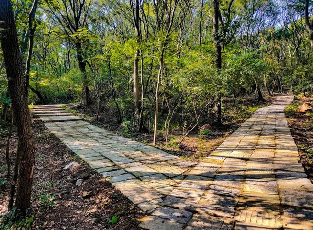 明光徒步新选择！