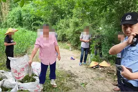 5人到桂林永福偷1646株海菜花被刑拘图片