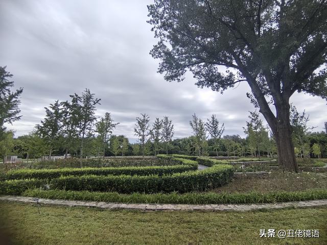 自拍影集（40）减河公园：藏于时光间的静谧之美