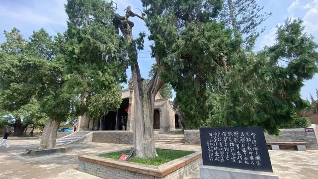 仓颉庙：千年古柏擎苍翠，一荫清凉沁汉魂