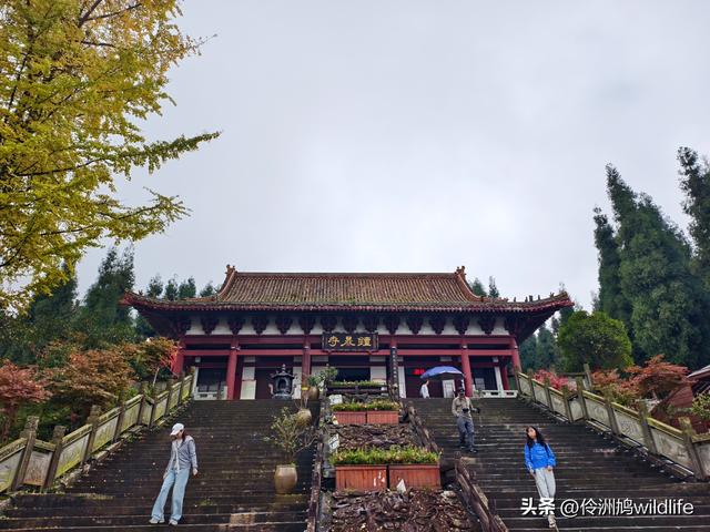 四川行(73)什邡红枫岭徒步到钟鼎寺