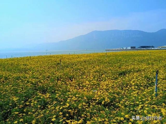 后悔来晚了,地铁直达的免费宝地,遛娃拍照绝佳,周末立刻出发。