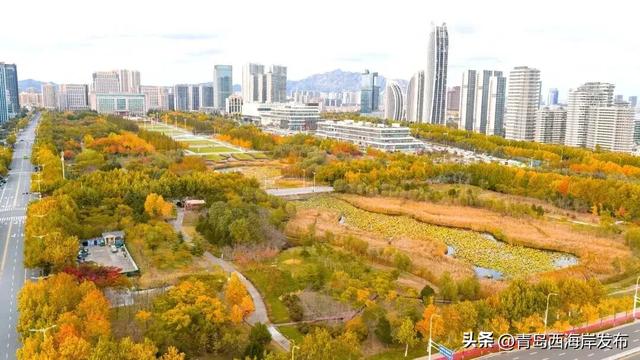 走不出这画了,我已被西海岸的秋景迷倒 🥹