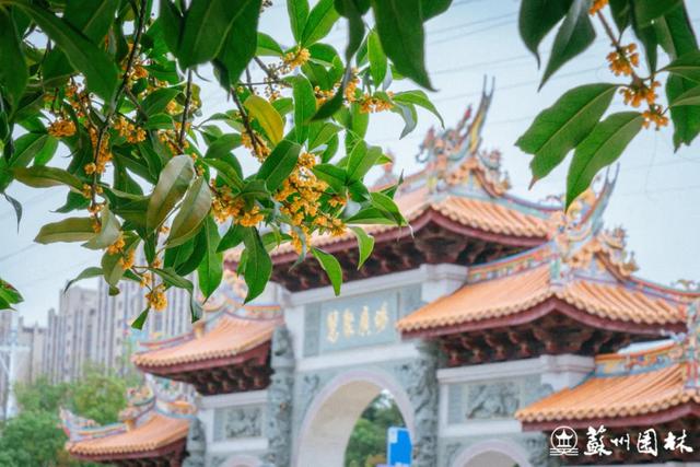 桂香满城！苏州桂花赏花地图来了！