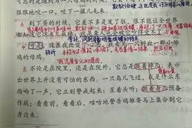 四年级语文下册，第四单元第14课《母鸡》笔记+课堂解析+知识点图片