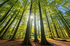 手机超广角怎么拍？3分钟轻松学，学会很出片！【收藏】图片