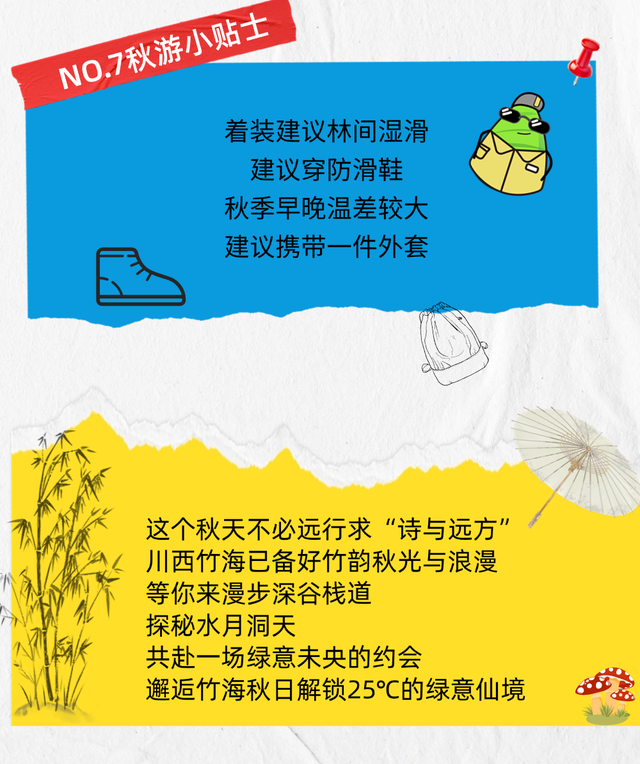 邂逅竹海秋日，解锁25℃的绿意仙境！