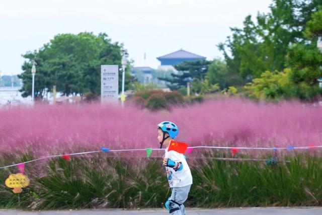 “粉色秘境”已上线！初冬必打卡！位置就在…