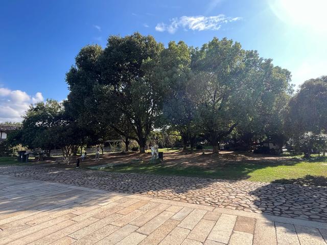 退休夫妻自驾温州永康之苍坡古镇、石桅岩、芙蓉古镇、丽水街