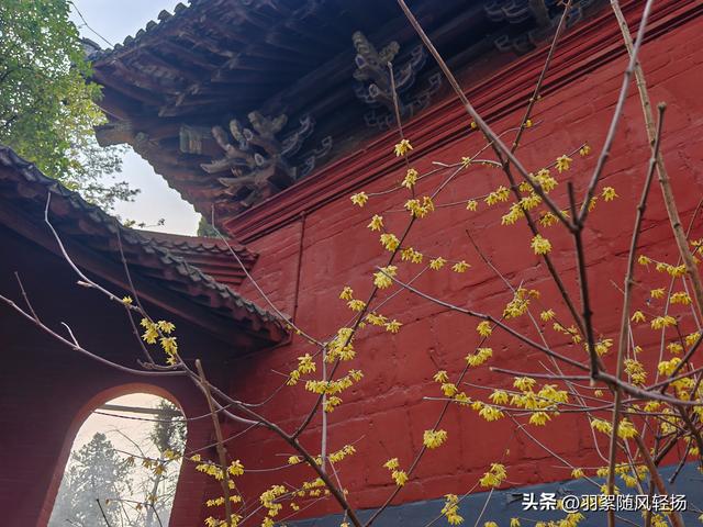 洛阳的美越来越精致