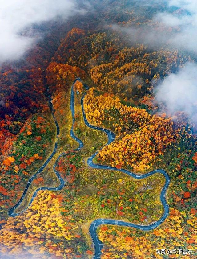 是什么让资深驴友每年秋天都偷偷跑去川西？？