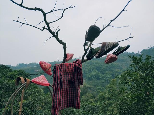 六种旧东西，再穷也不留，家里有这6种东西，请尽快扔掉！