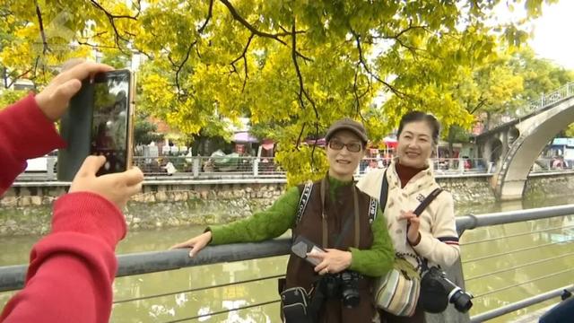 冬天的昆明，盛满了温柔的金黄色