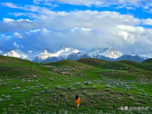 去新疆旅游，最重要的事只有一件：把钱带够！新疆的消费远超想象