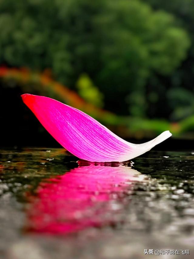 长假里的雨幕秋思
