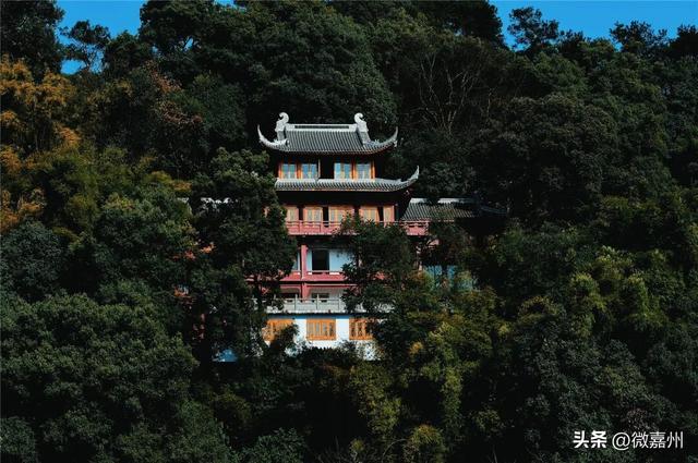 给生活充充电，与大佛共赏一山秋色