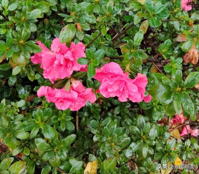 女人最大的遗憾，不是爱上渣男，不是没嫁首富，而是没成为自己。