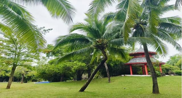 情到深处是天涯