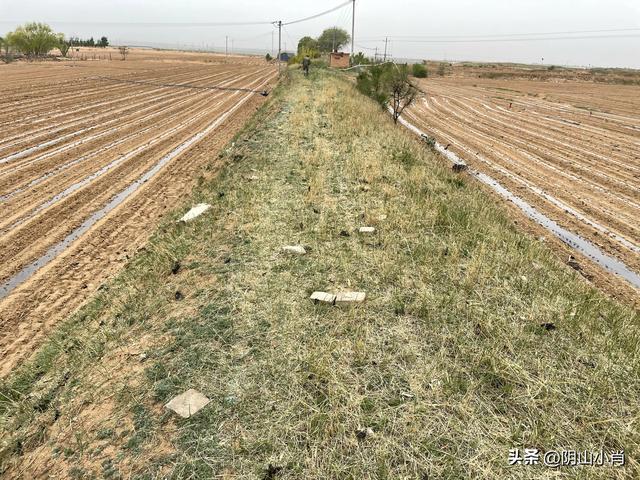 鄂尔多斯市达拉特旗田野考察笔记