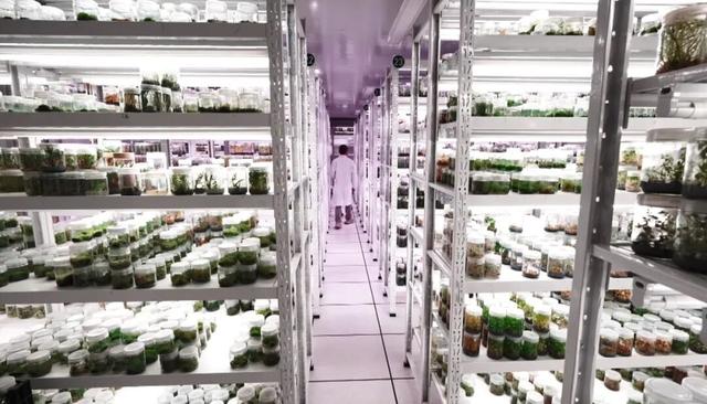 电影照进现实？中国给未来存上备份，打造野生生物的“诺亚方舟”