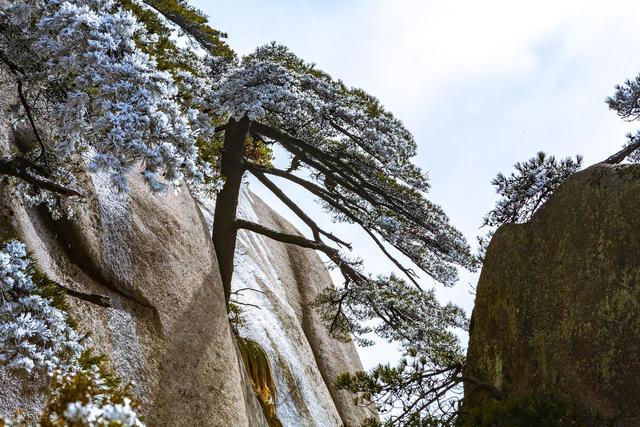 2月适合去，春节假期7个小众旅行地，不用人挤人，风光十分美