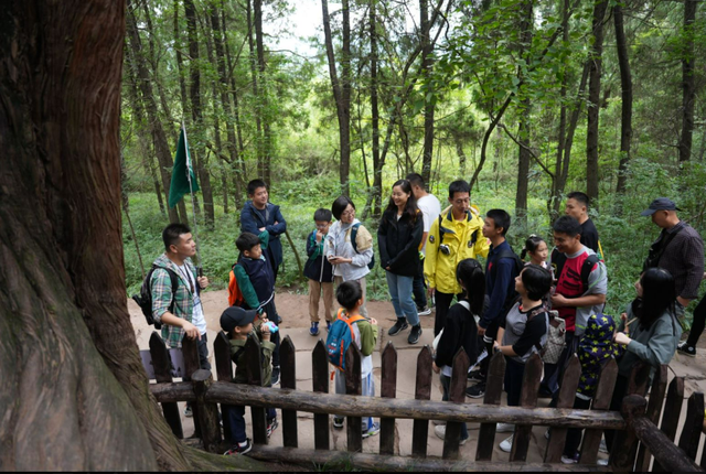 秋假冲剑阁！带娃解锁古道雄关里的“嗨玩密码”