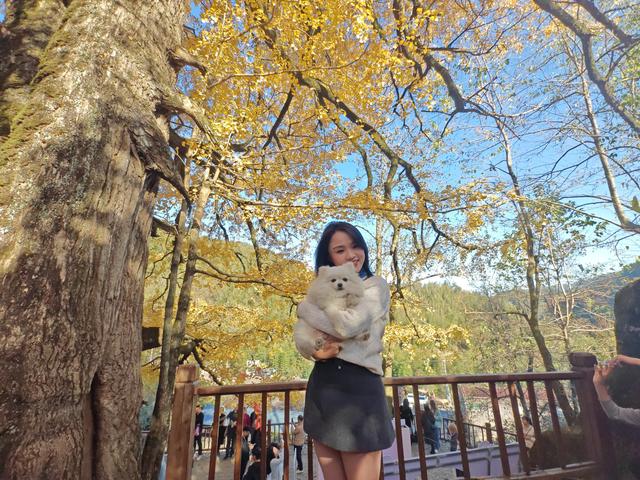 郁郁银杏无非般若，青青溪石尽是法身：宜春南惹古村印象（聂朋