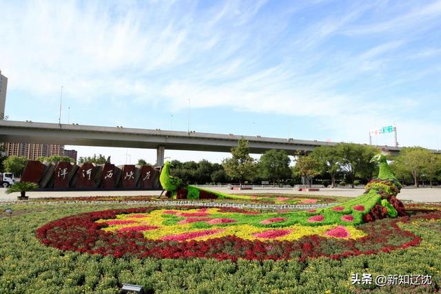 万菊织锦 绿雕传情 沈阳新增国庆景观