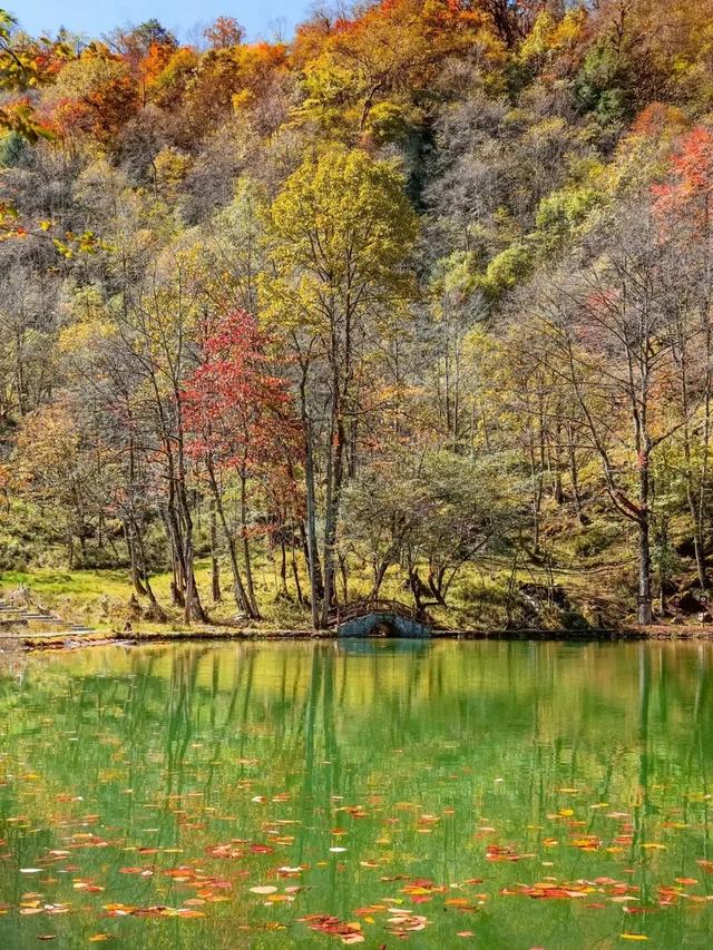 喇叭河五彩斑斓的秋天，就这样闯闯闯入视野！