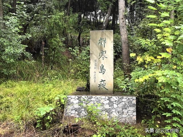 他在全国的5个墓，现在去过两个：“推敲”下安岳荒郊野外的这个