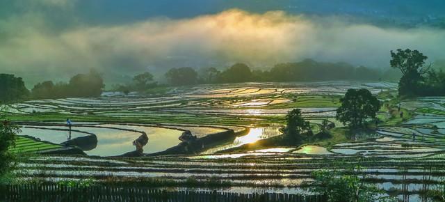 人老了真正幸福的不是你多钱，也不是儿女双全，而是悟透这些事！