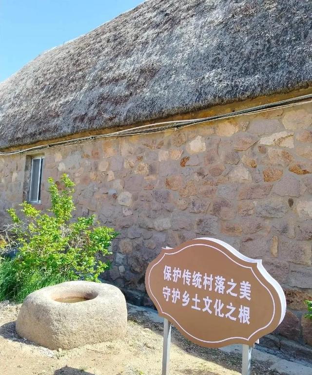 山东荣成：天鹅与海鸥齐飞，这座低调滨海城，藏着北纬37°的浪漫