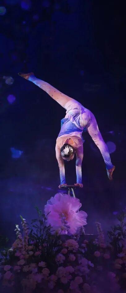 荣国府焕新启幕，快来感受一下吧