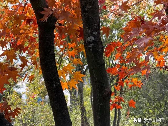 随走呈贡大学城,逛梁王湖、转小土林,感受多彩的秋冬世界,休闲