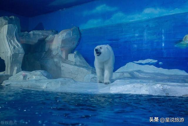 第一次来天津旅行必看！这20个旅行目的地颠覆你的认知！