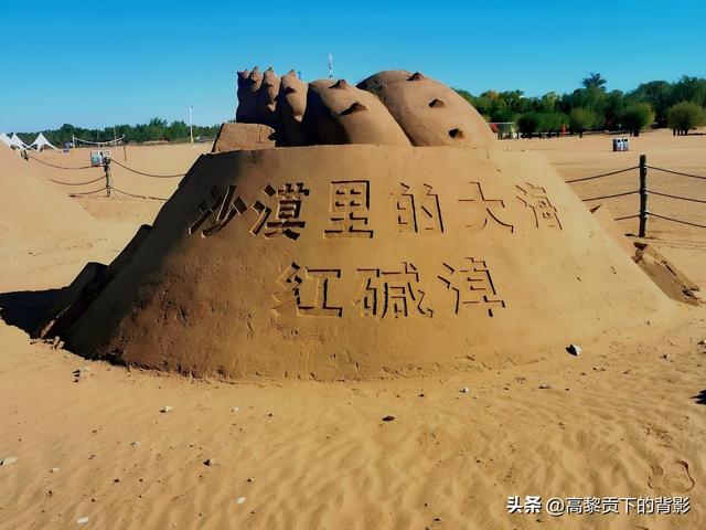 神木之旅：在沙漠中寻找生命的印记