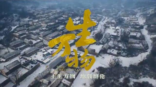 看完《红高粱》，再看《生万物》，我想说：没有对比就没有伤害