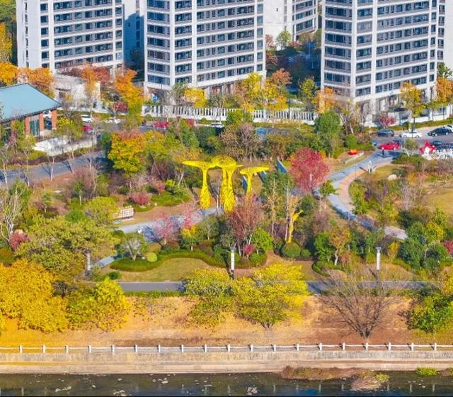 冬日金东：斑斓未尽 山水半酣