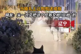 当婚礼上让狗狗送戒指图片